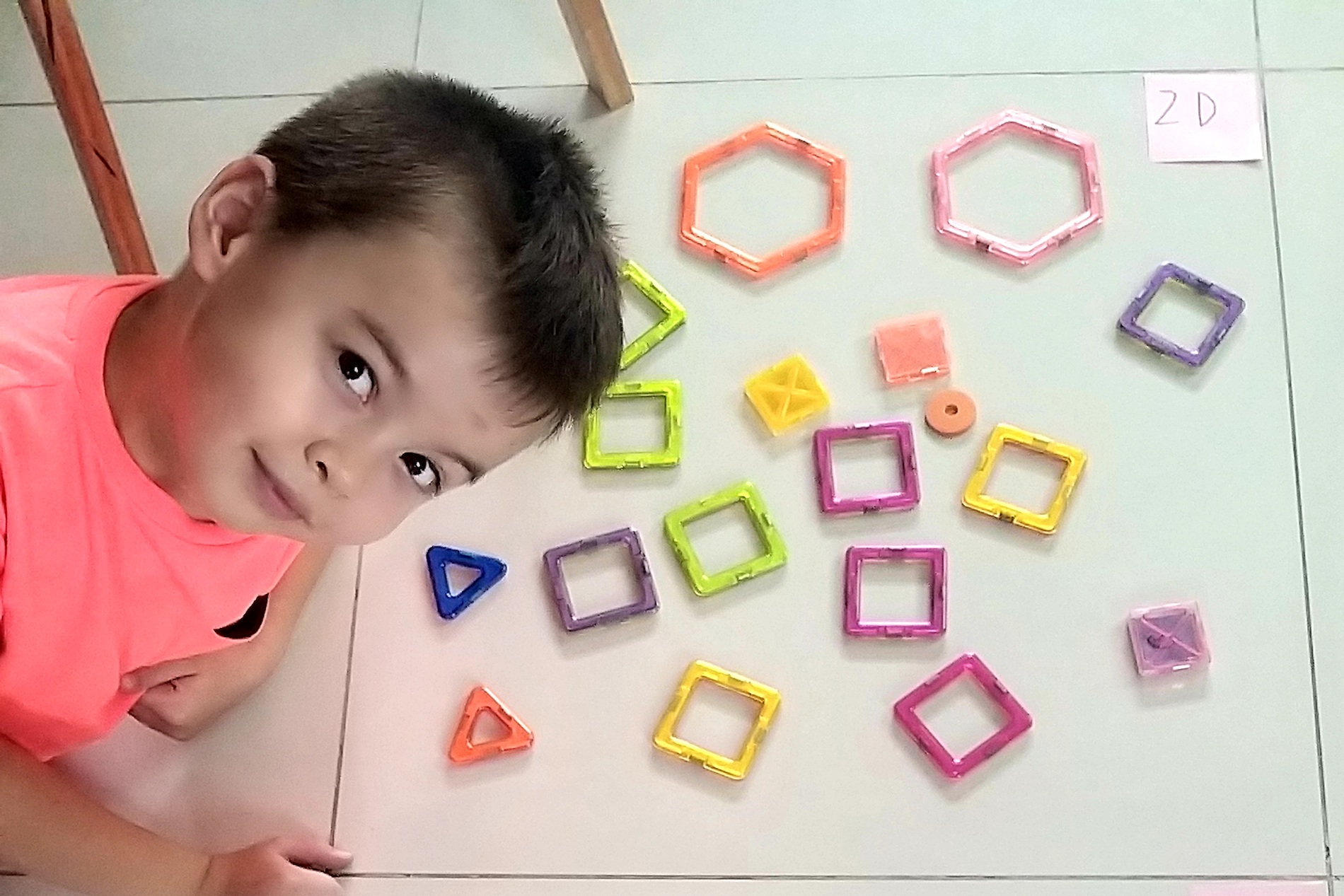 The Hunt for 2D and 3D Shapes
