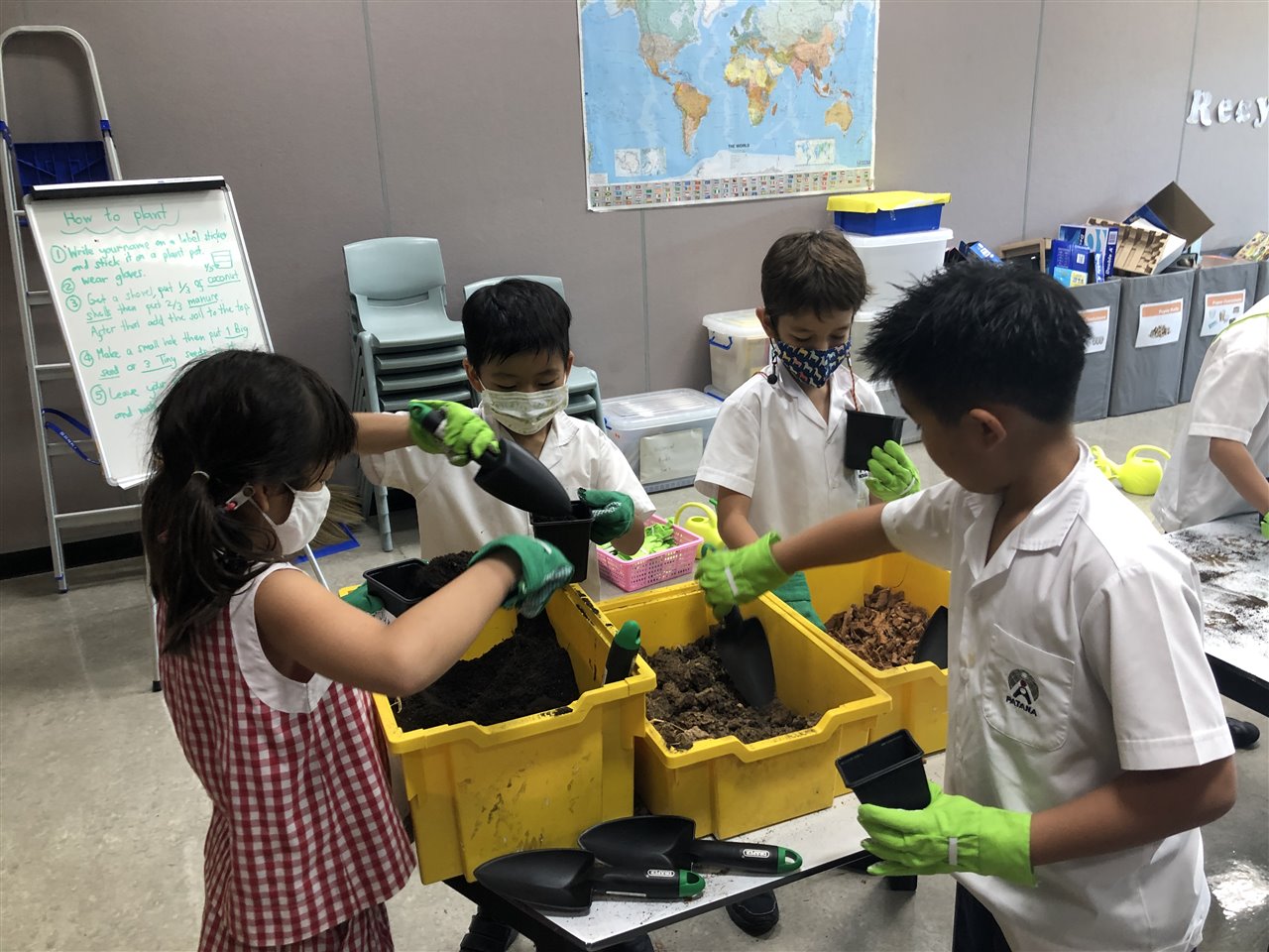 Planting a Seed and Watching it Grow Bangkok Patana School