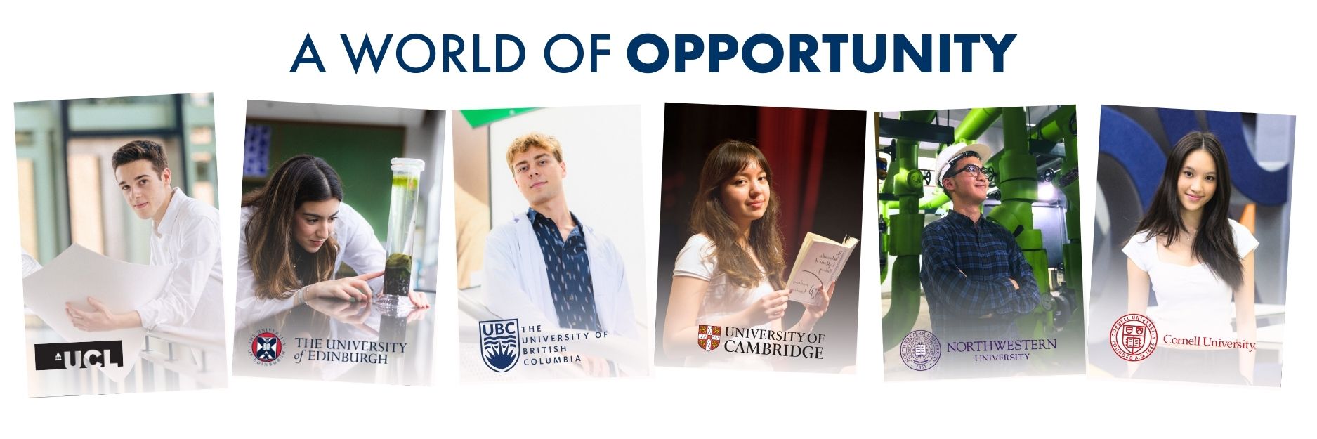 Excellent IB Results