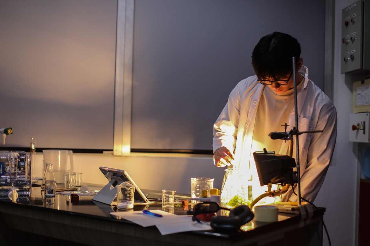 Celebrating Year 12 IB Science Investigations