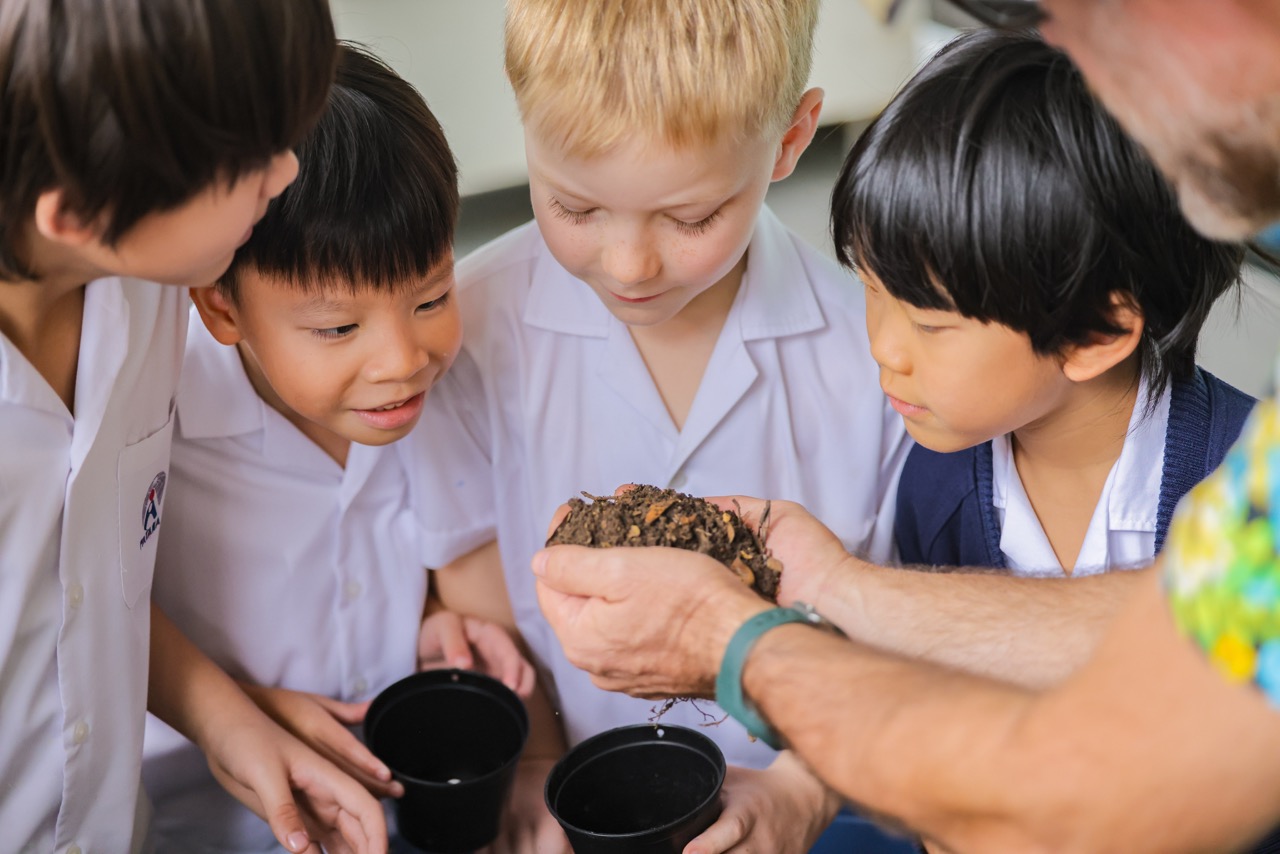 The Secret Life of Seeds