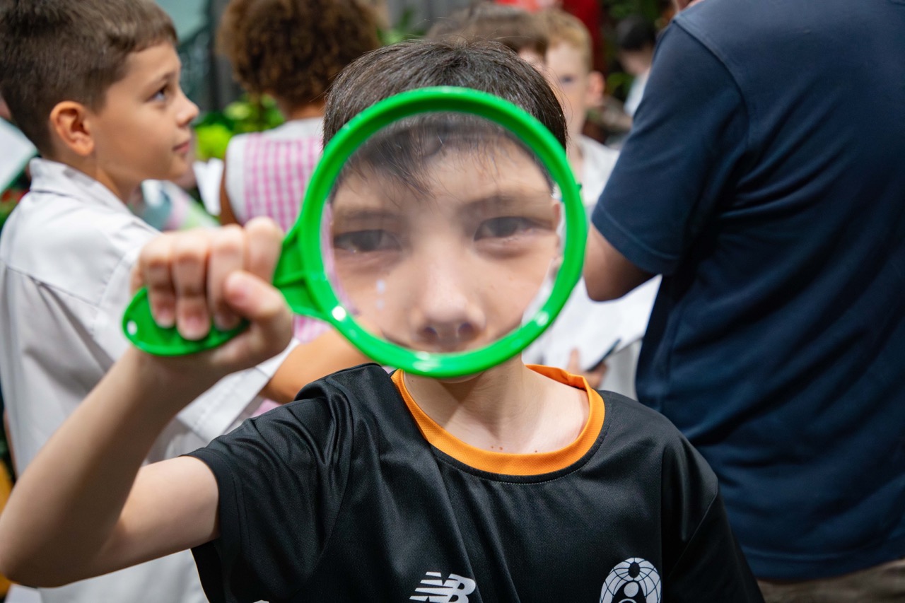 What has happened in Year 5?