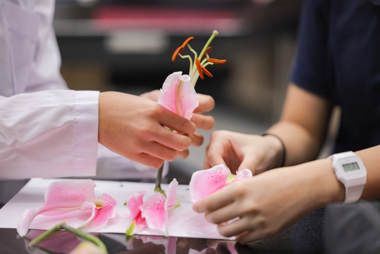 Plantastic Science in Year 8