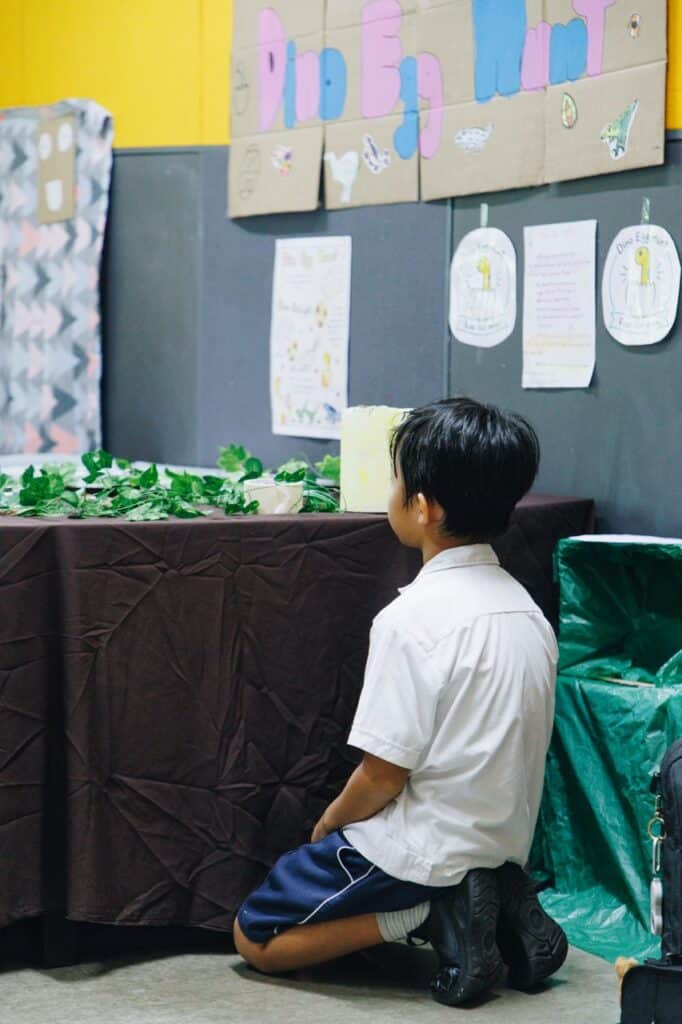 Year 4 Young Entrepreneurs: Creating Sustainable Fun for a Cause - 3