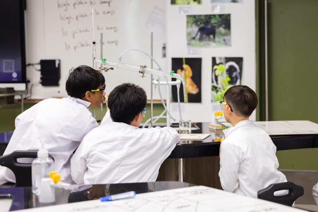 Distillation in Action - 1