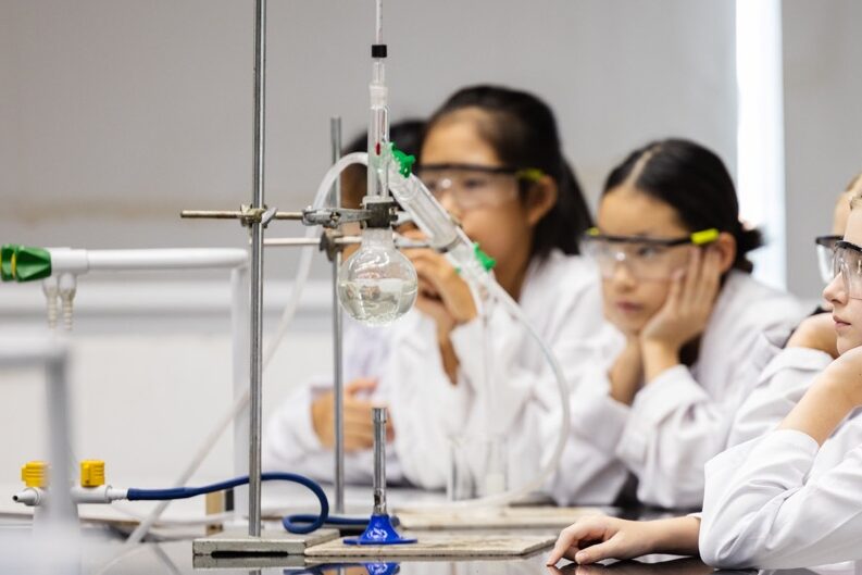 Distillation in Action