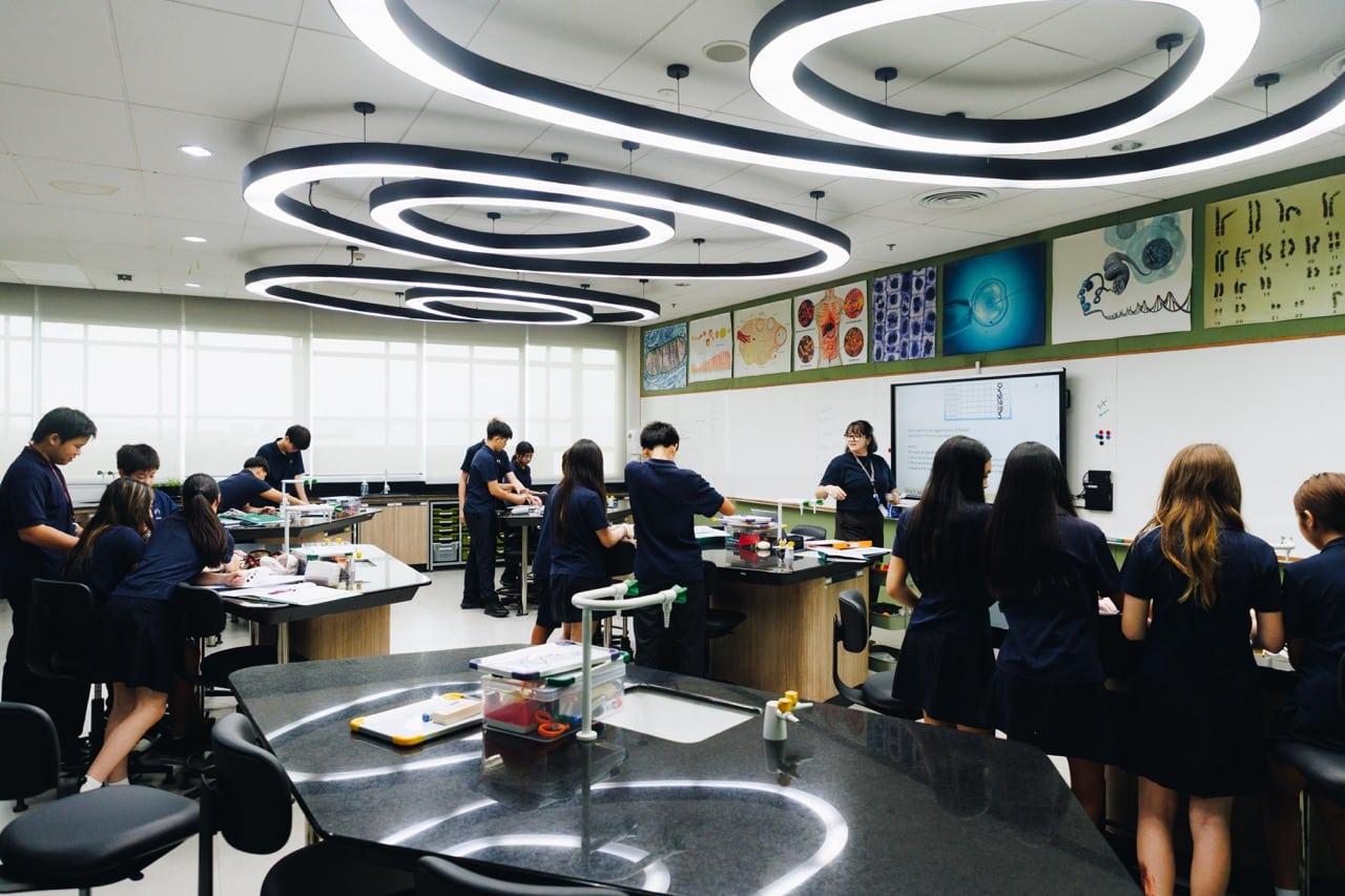 Investigating Inheritance and Evolution