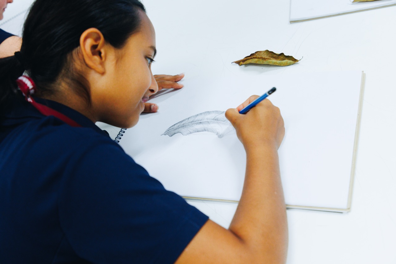 Year 8 Art: Learning Through Observation