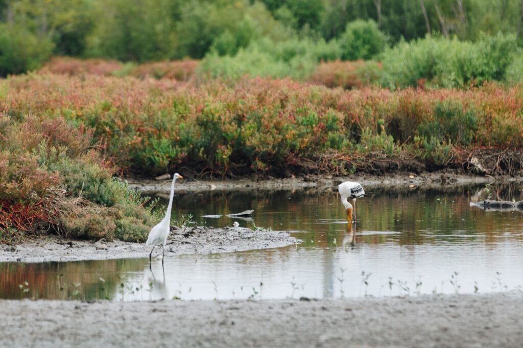 Art, Science and Sustainability - 25