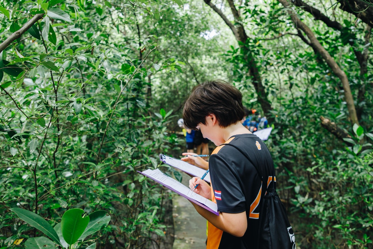 Art, Science and Sustainability